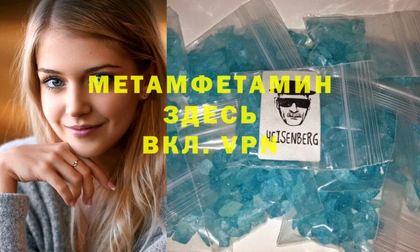 прущие грибы Инсар