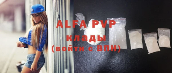 apvp Иннополис