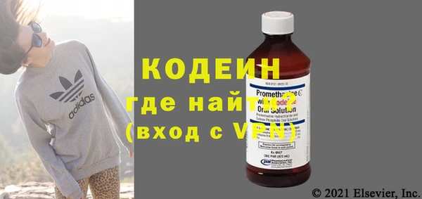 прущие грибы Инсар