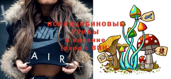 apvp Иннополис