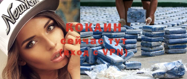 apvp Иннополис