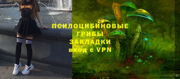 прущие грибы Инсар