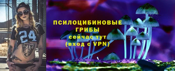 apvp Иннополис