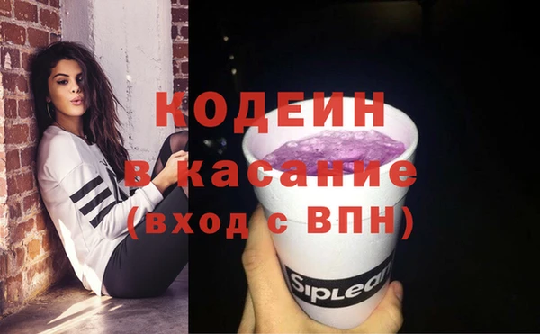 прущие грибы Инсар