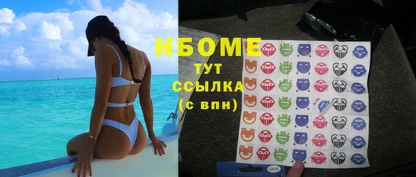 прущие грибы Инсар