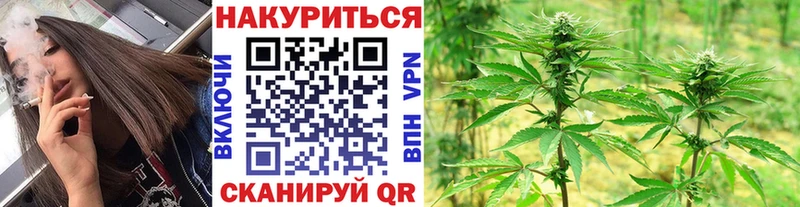 Канабис Amnesia  Купить закладки  Камбарка 